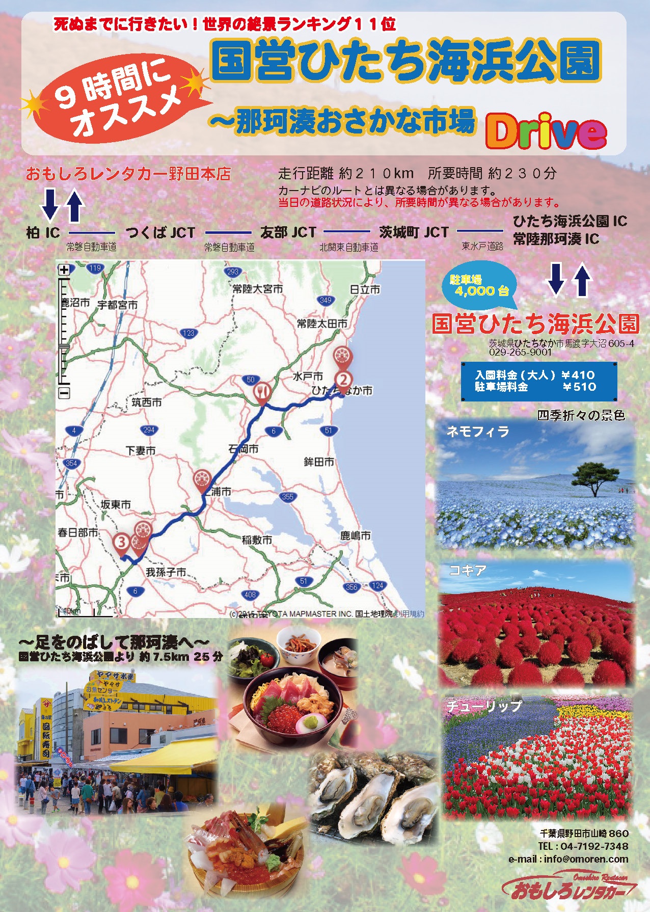 Hitachi Seaside Park-Nakaminatoosakana Market 9-hour drive course